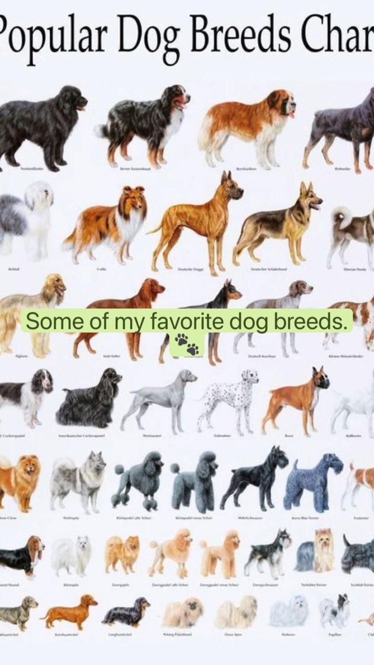 Международный день Солак