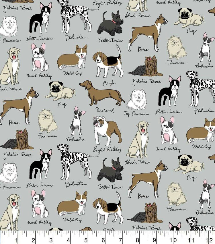 Dogs emotions in English