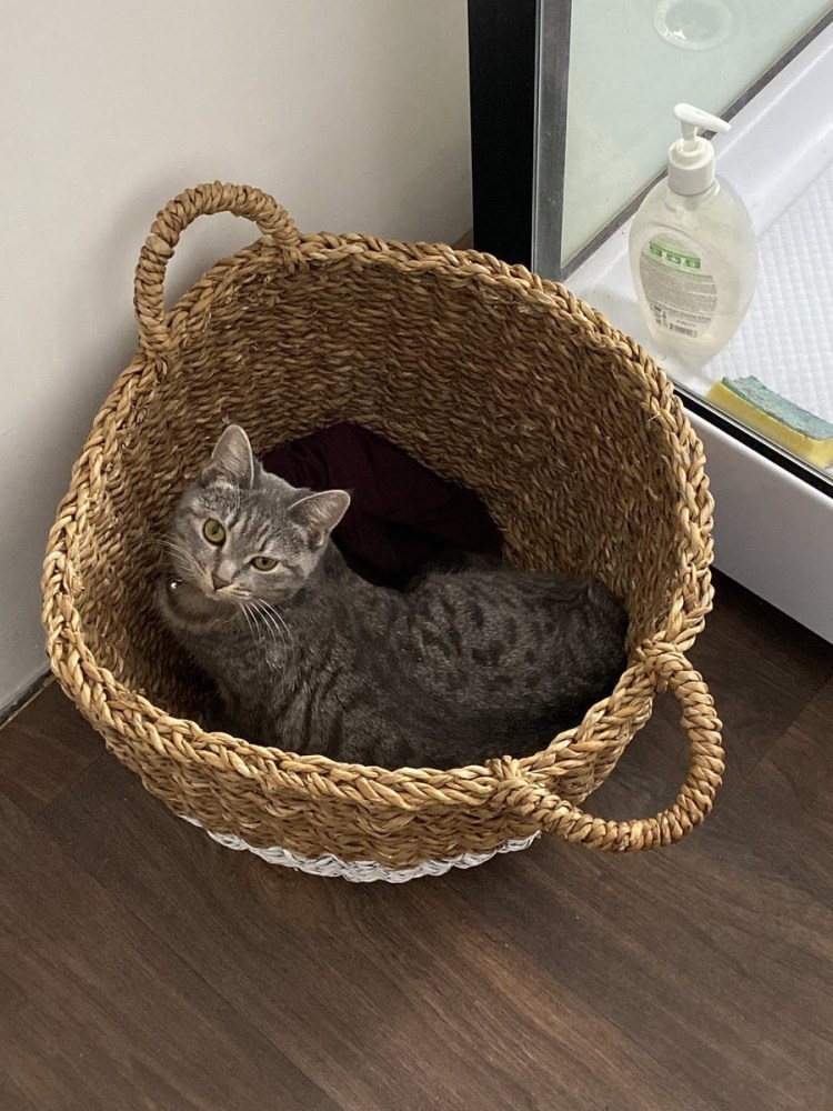 Плетеный домик для кошки