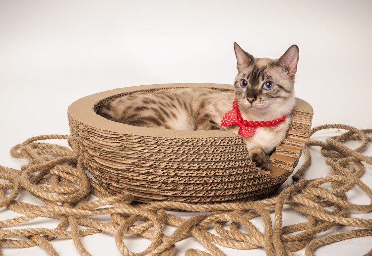 Корзинка домик для кошки