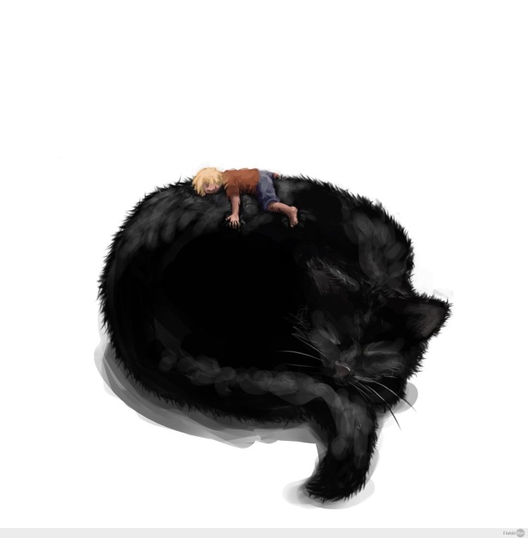 Кот спит клубочком