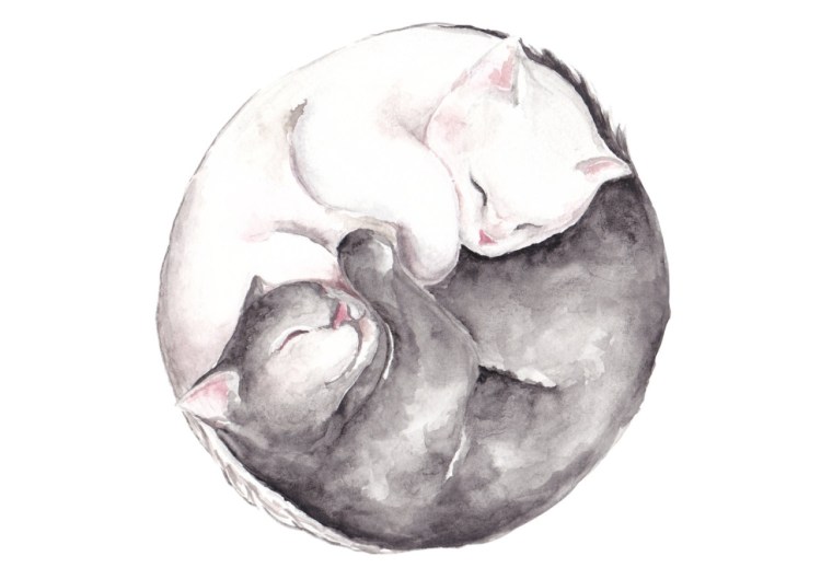 Свернуться калачиком