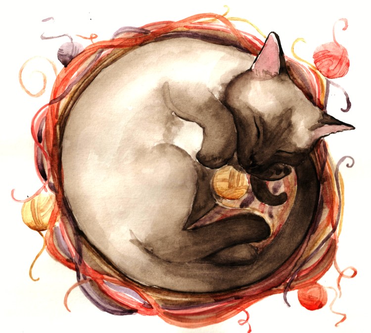 Кошка спит клубочком