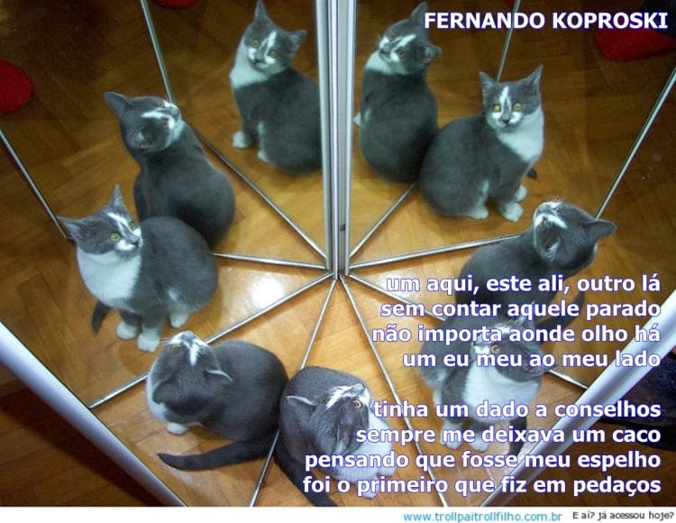 Кошка любуется