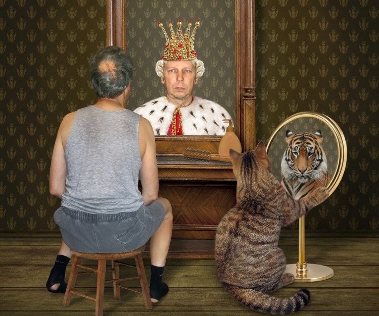 Кот и зеркало прикол