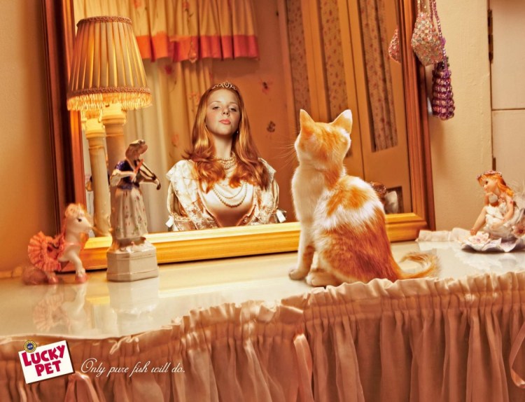 Дом для котят