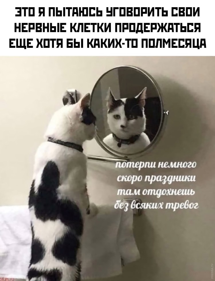 Зеркало "котик"