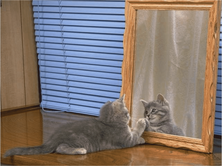 Зеркало "котик"