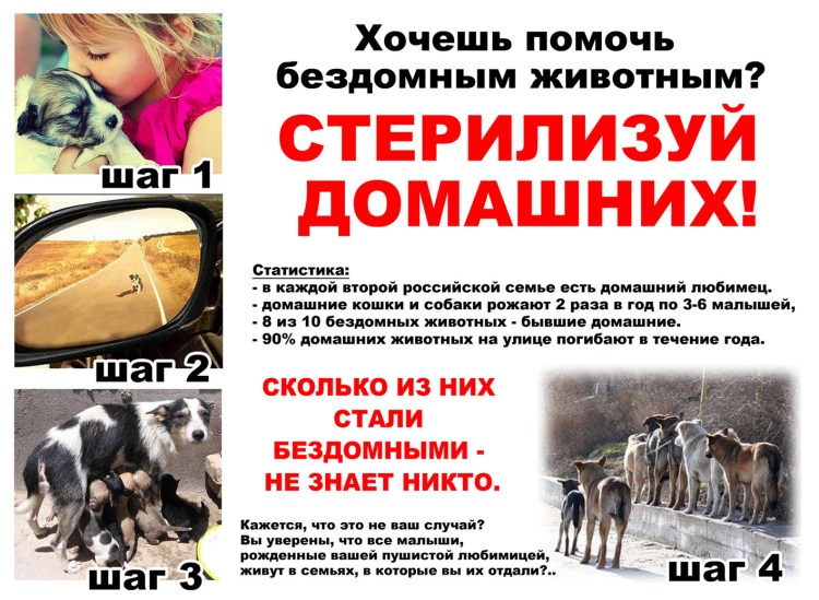 Ветклиника рекс Зеленоград