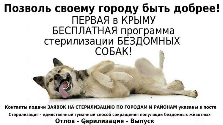 Кастрация и стерилизация собак