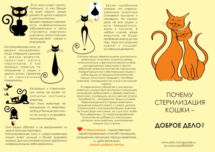 Стерилизация кастрация бездомных животных