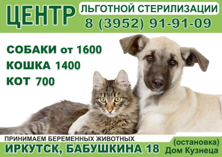 Ветеринарная онкология