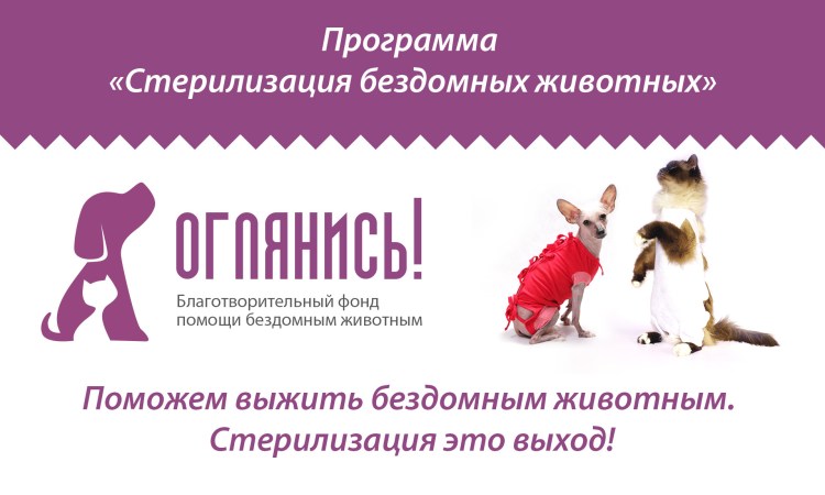 Степени ожирения у собак таблица по породам