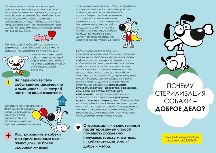 Кастрация и стерилизация