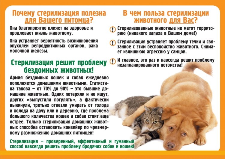 Лапароскопическая стерилизация