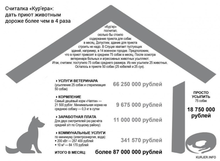 Кастрация собаки операция