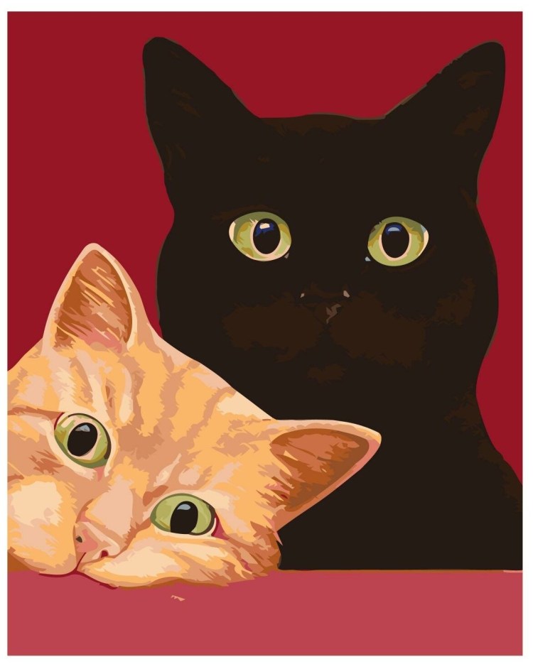 Рыжий и черный котики