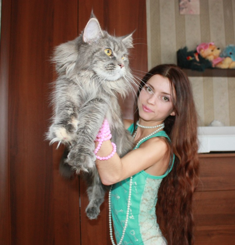 Мейн кун Ксении Бородиной