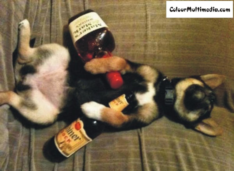 Royal Pewter рюмки перевертыши