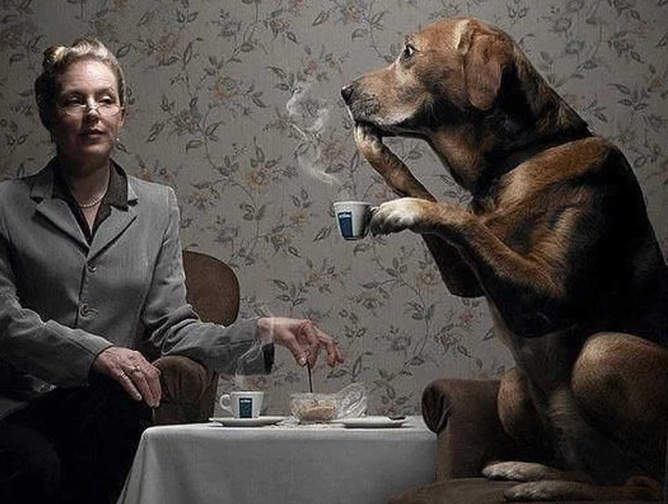 Белка алкаш