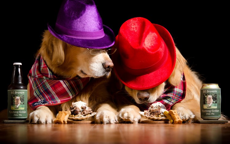 Собака с вином