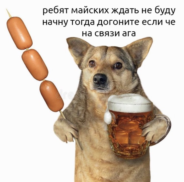 Собака пьет воду