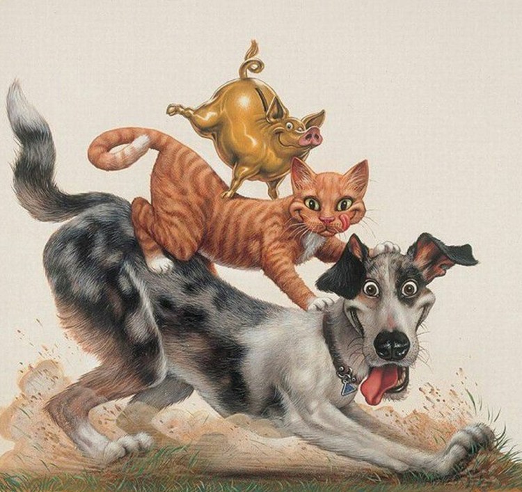 Сражение котов