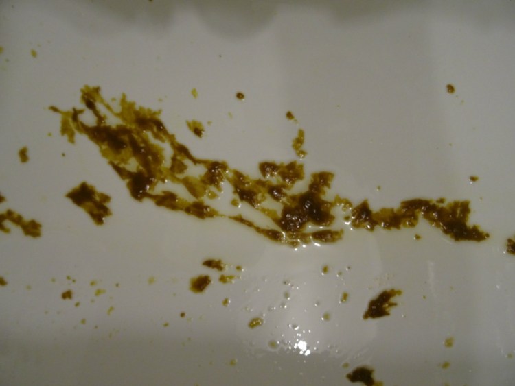 Кошачьи глисты аскариды