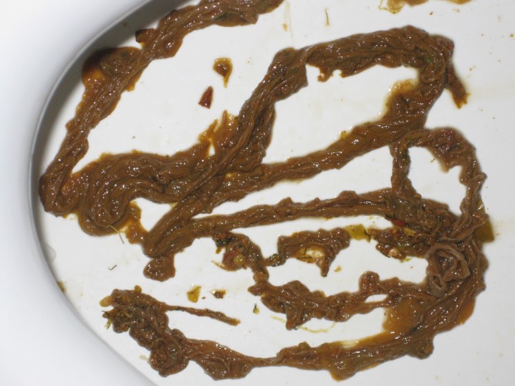 Круглые гельминты у собак