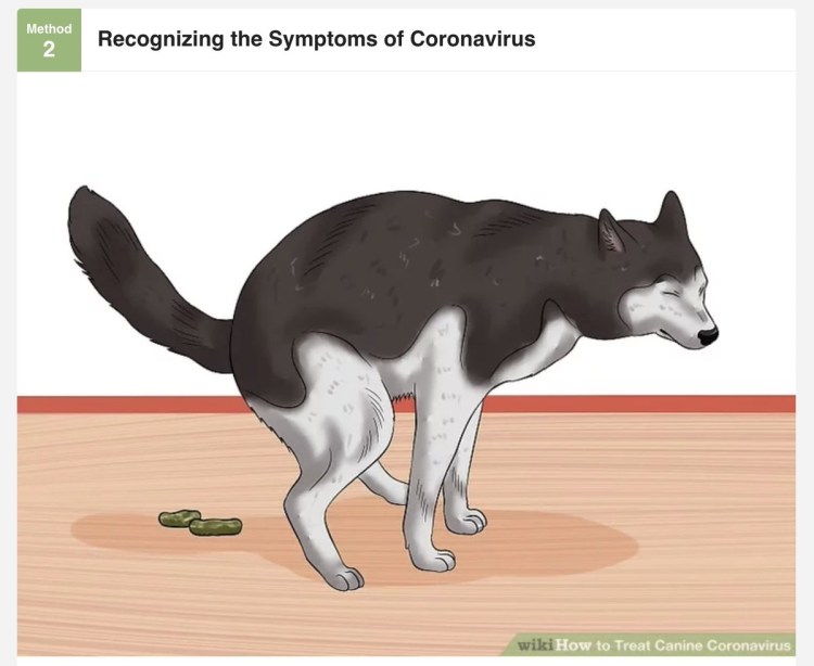 Сульфитредуцирующие клостридии в Кале