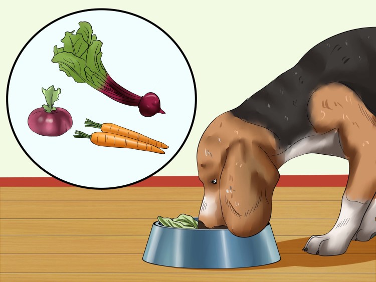 Яйца глистов человека в Калле