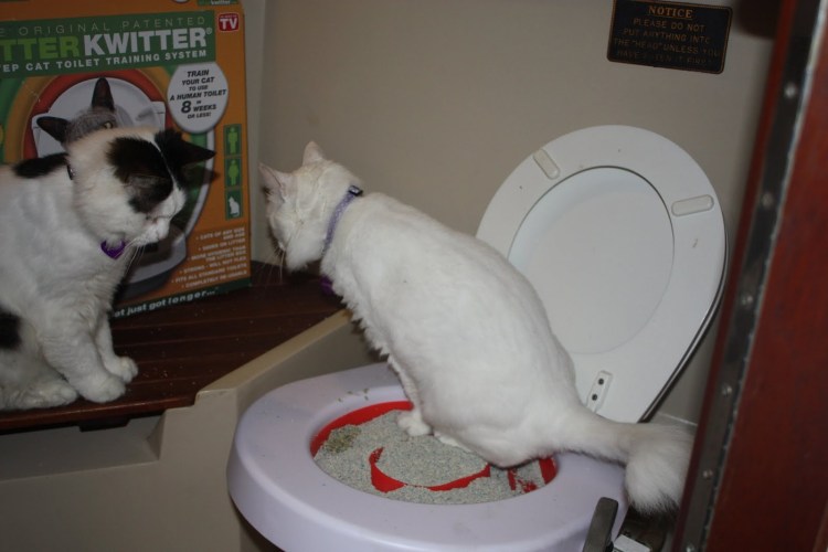 Умный кошачий туалет Xiaomi PETKIT