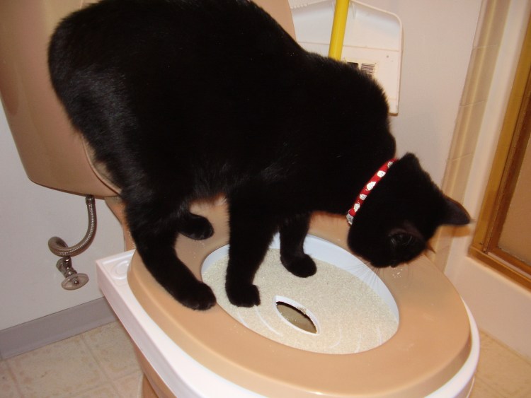 Приспособление для унитаза для кошек