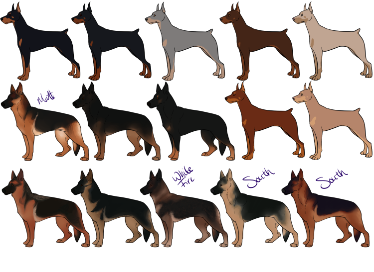 Немецкая овчарка Караульная служба