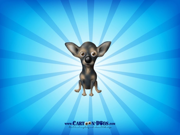 Морда чихуахуа сбоку