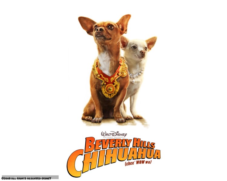 Крошка из Беверли-Хиллз фильм 2008