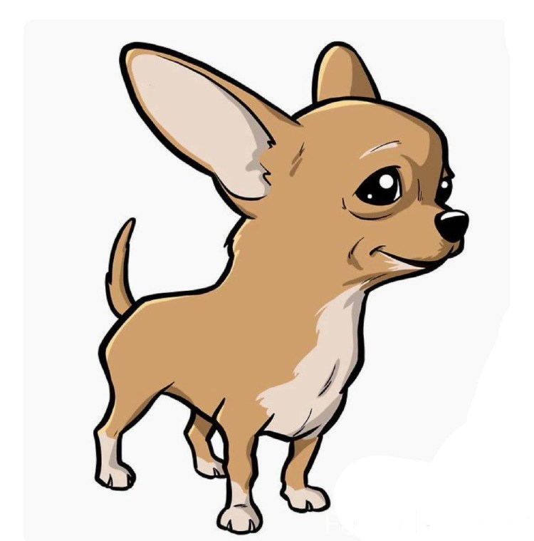 Открытка с чихуа Хуа