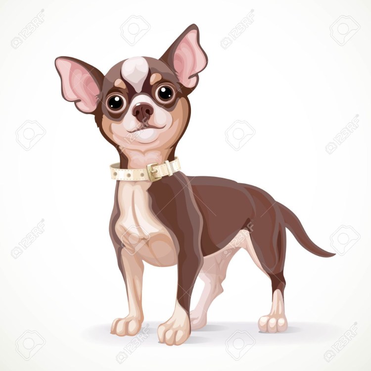 Мультяшныйстой терьер