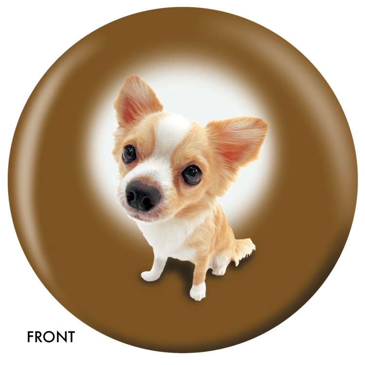 Мультяшная чихуахуа на прозрачном фоне