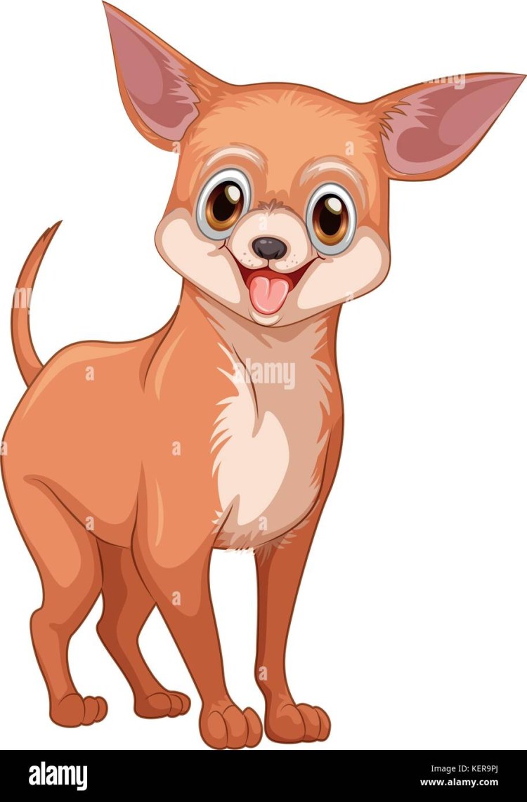 Королевский корги мультфильм 2019