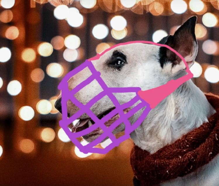 Ходунова Валерия Cat._.Muzzle