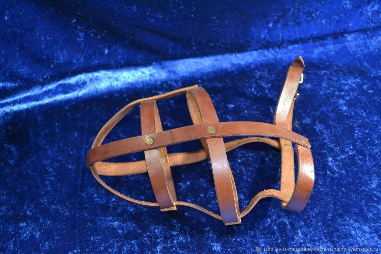 Кошачий намордник