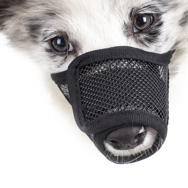 Намордник для кошек №1 vn006