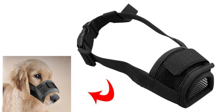 Намордник для кошки выкройка