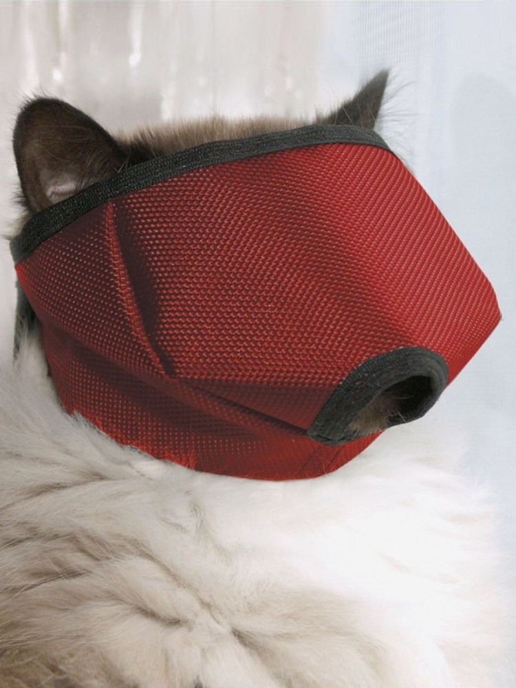 Cat._.Muzzle блогер