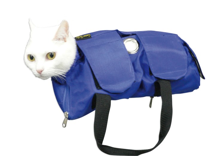 Намордник для корги