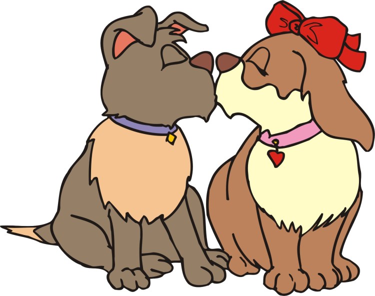 Собака целует кошку