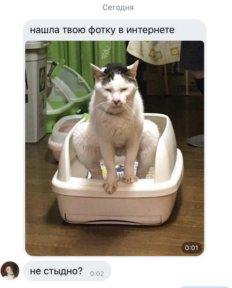 Папа накричал на маму мама накричала на сына сын накричал на кошку