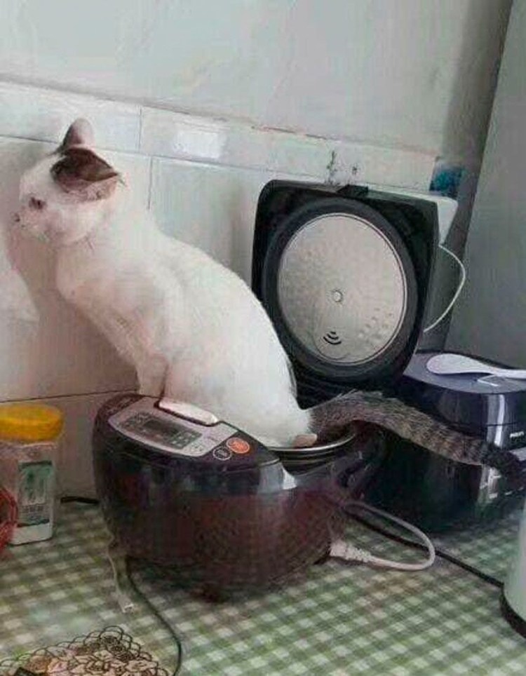 Пятница тяжелый день