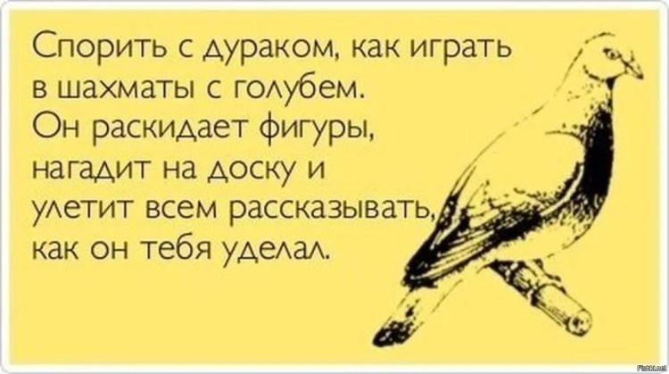 Кот с табличкой в лапах